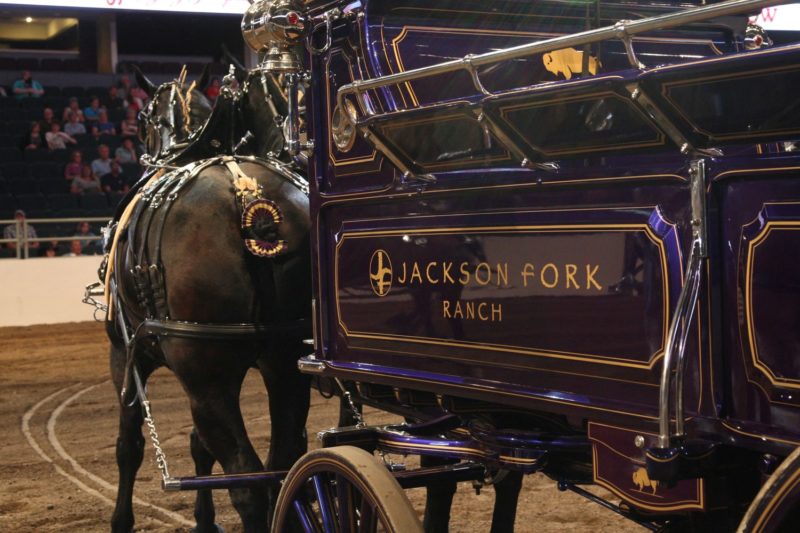 Image of horse with wagon